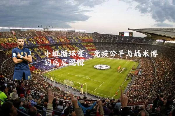 小组循环赛：竞技公平与战术博弈的底层逻辑